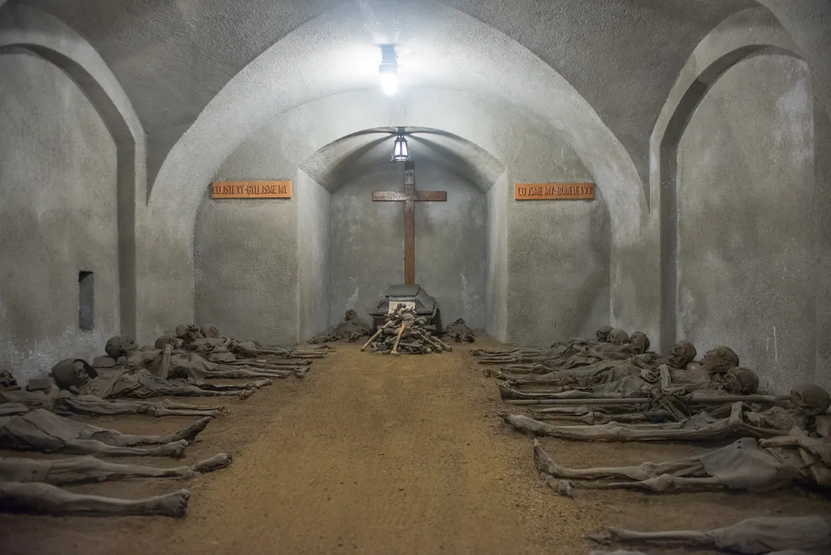 12 Best Sights Near the Capuchin Crypt Mummies Brno