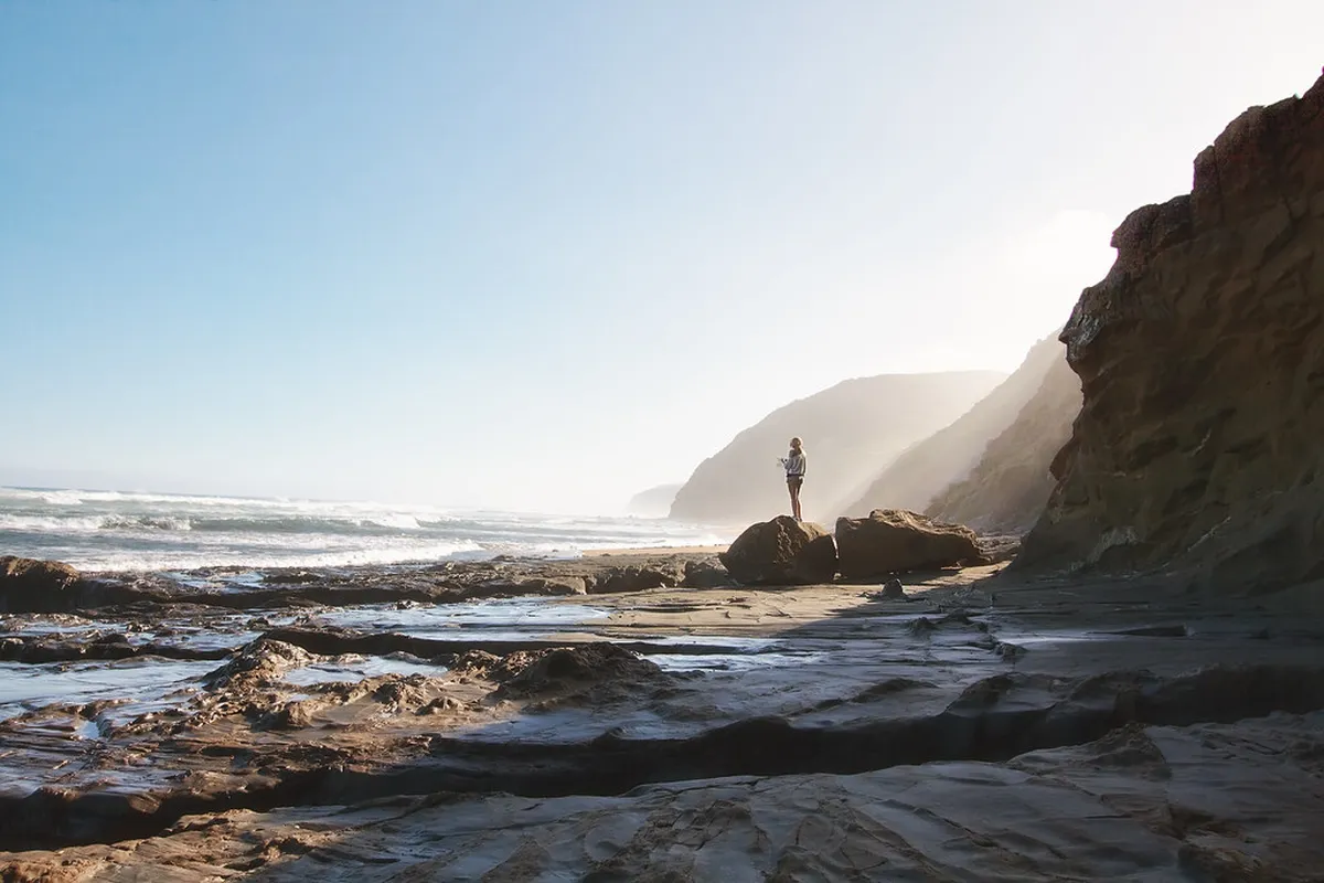 Finding the Upside Down Horse Statue in Brno: A Guide