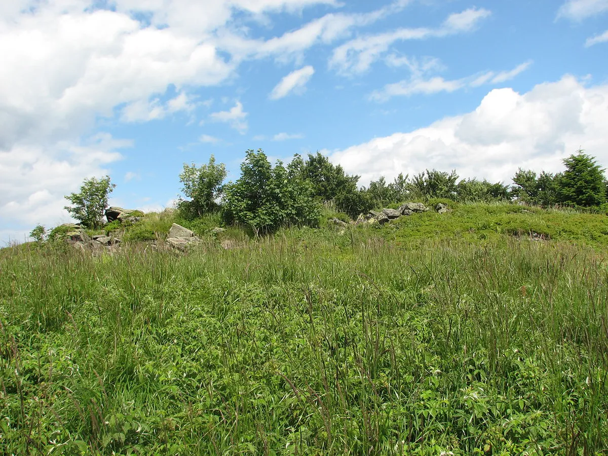 Explore Kamenná čtvrť bohemian district: 2-Day Brno Trip