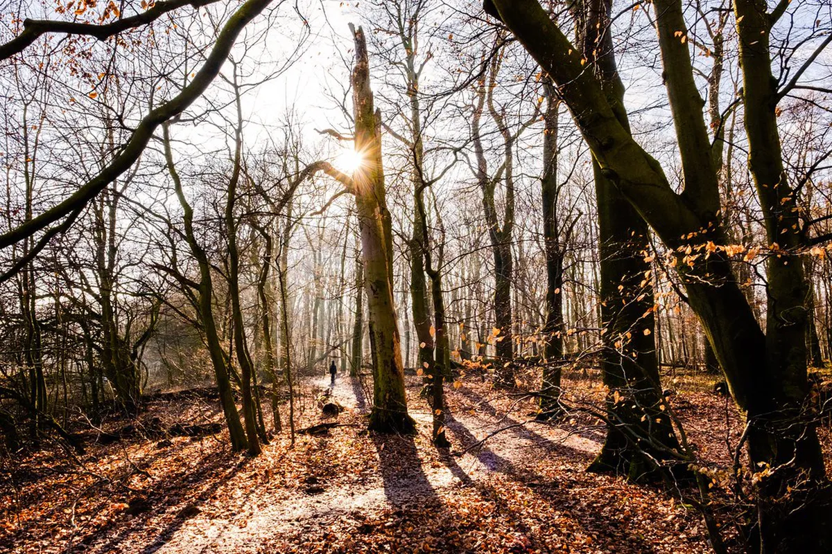 Moravian Karst Day Trip: A Complete 2026 Guide