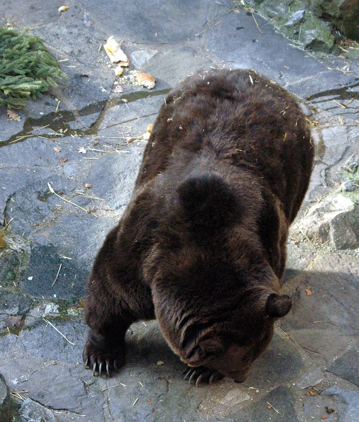 11 Best Restaurants in Český Krumlov (2026 Guide)