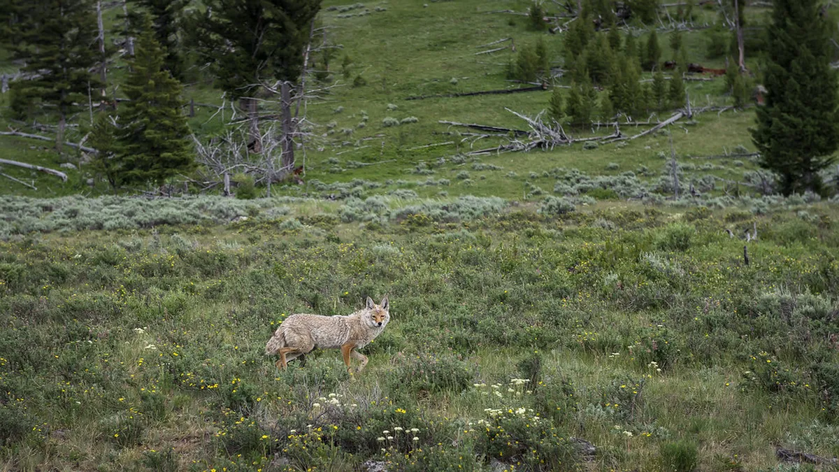 Exploring the Latrán Neighborhood: A 2-Day Itinerary