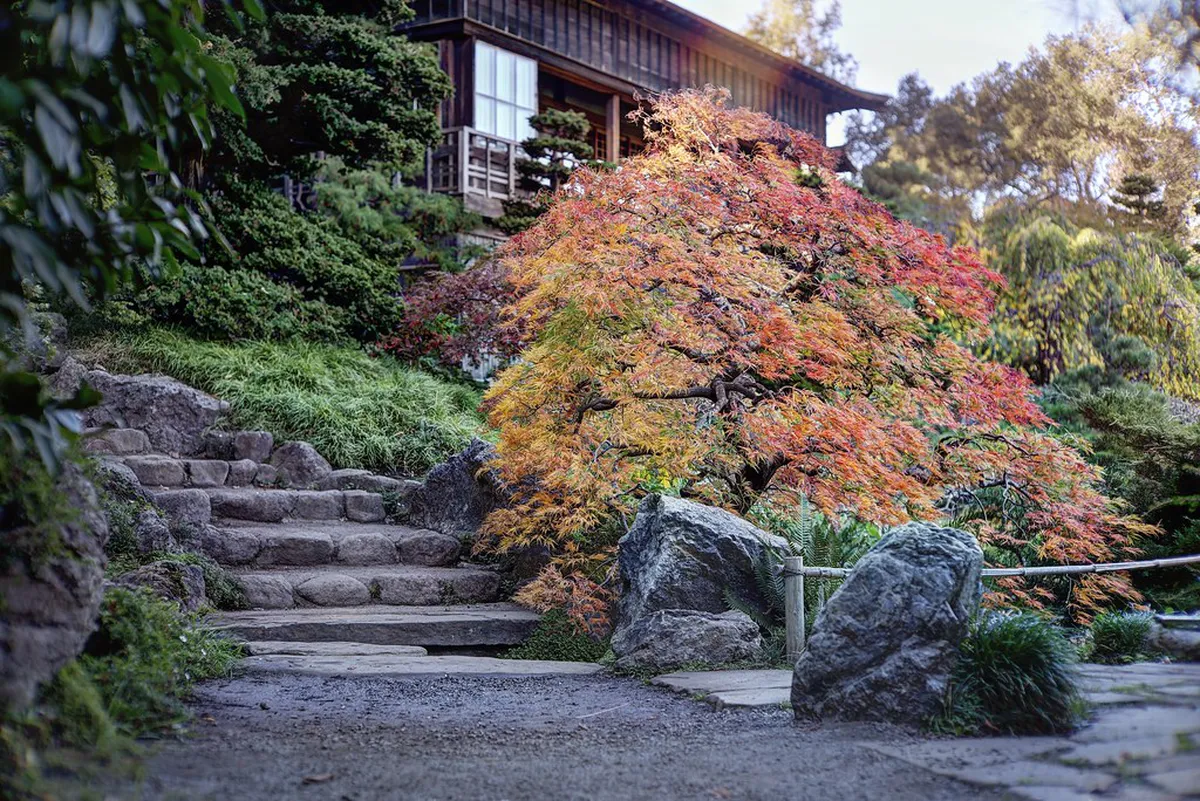 Visiting the Japanese Zen Garden Karlovy Vary: Top 10 Sights