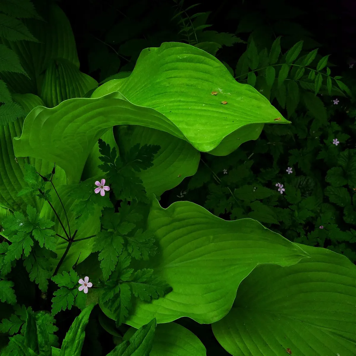 10 Hidden Gems in Olomouc Old Town You Must See (2026)