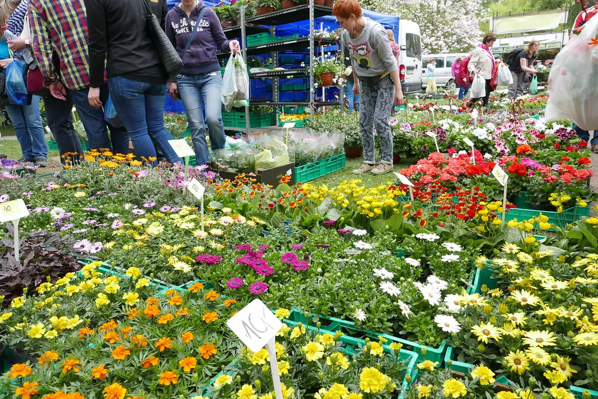 When is the Flora Olomouc Flower Exhibition? 2026 Guide