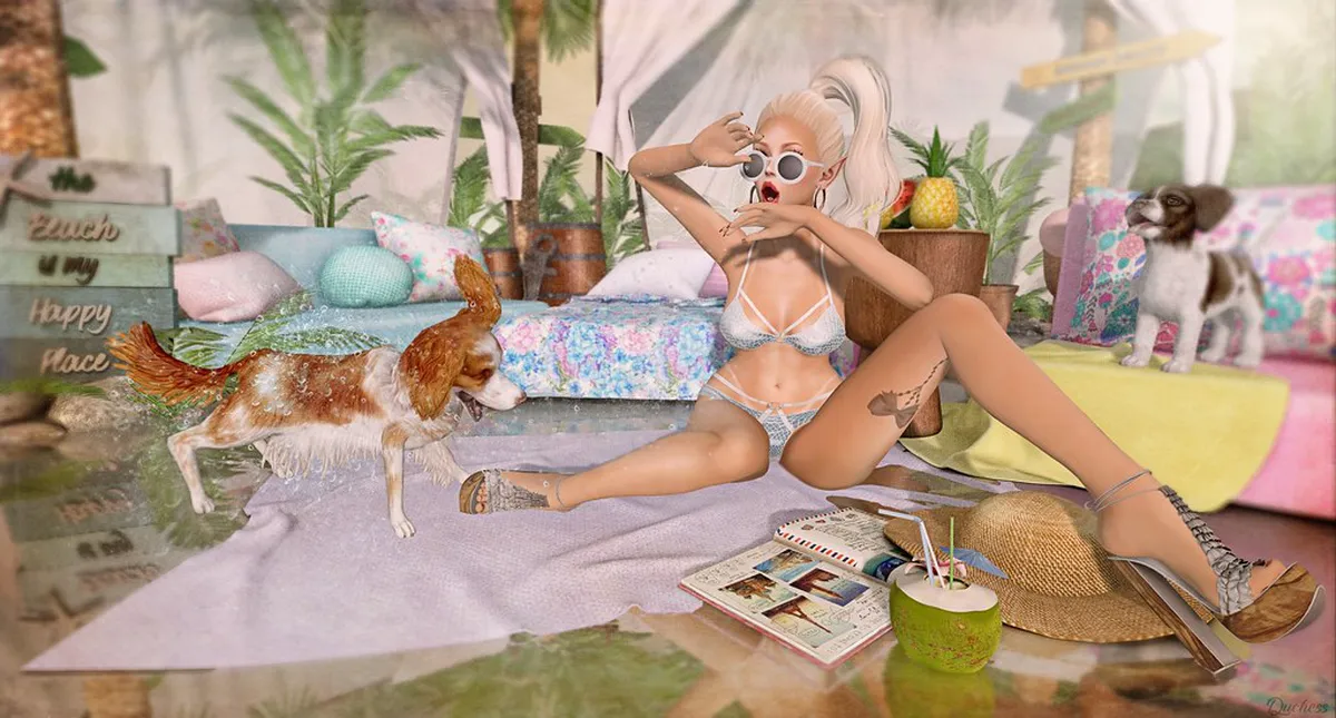 Best Places to Stay in Plzeň: Neighborhood Guide