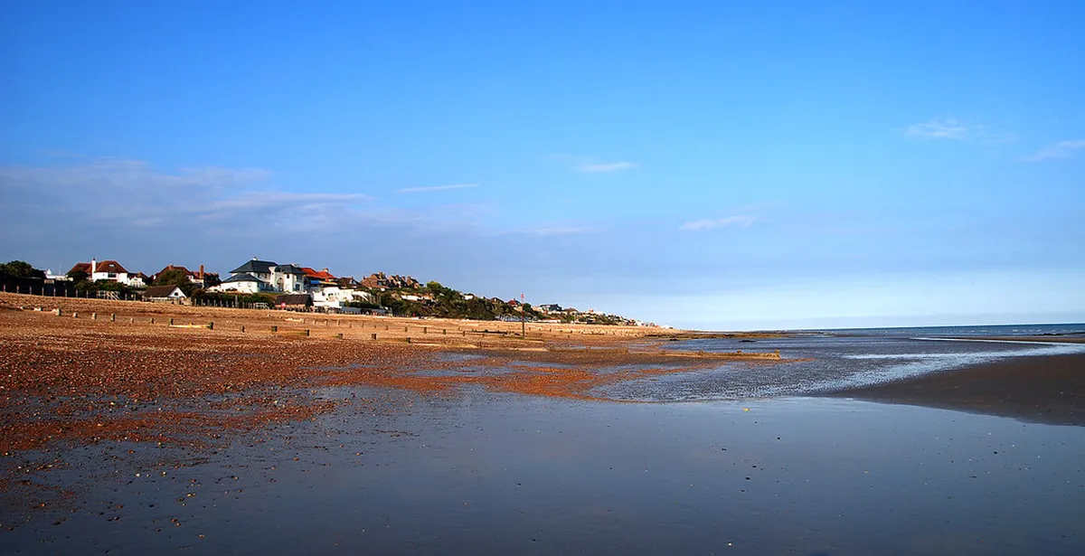 Best Time to Visit Plzeň Zoo and DinoPark